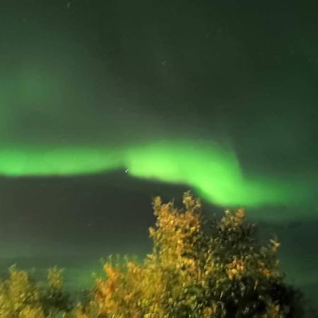 Aurora Rooms In Shared Apartment Nr2 We Are Doing Privet Northen Lights Trips, Reindeer Trip And Fjord Sommaroy Trip Tromsø Exterior foto